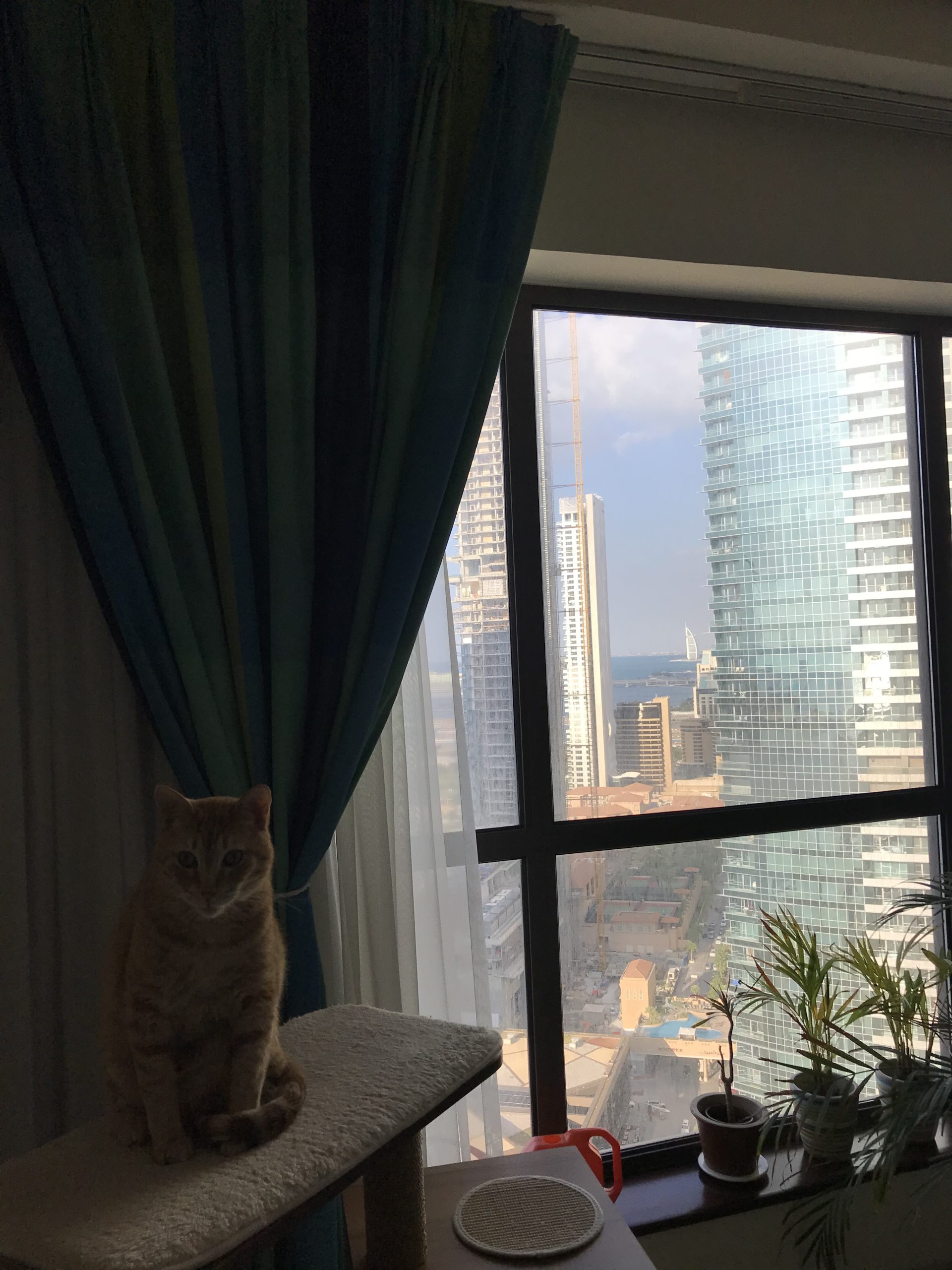Hilton Dubai