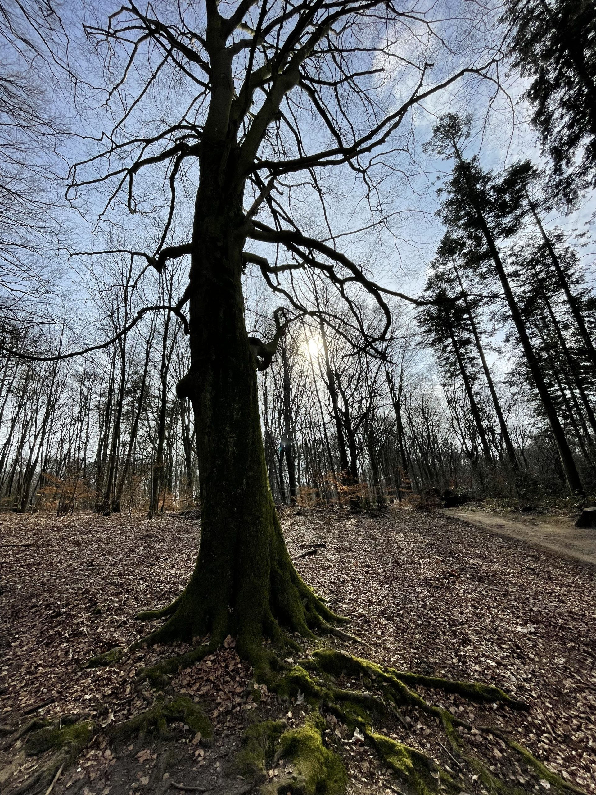 Vergeet de liefde. Leef licht.