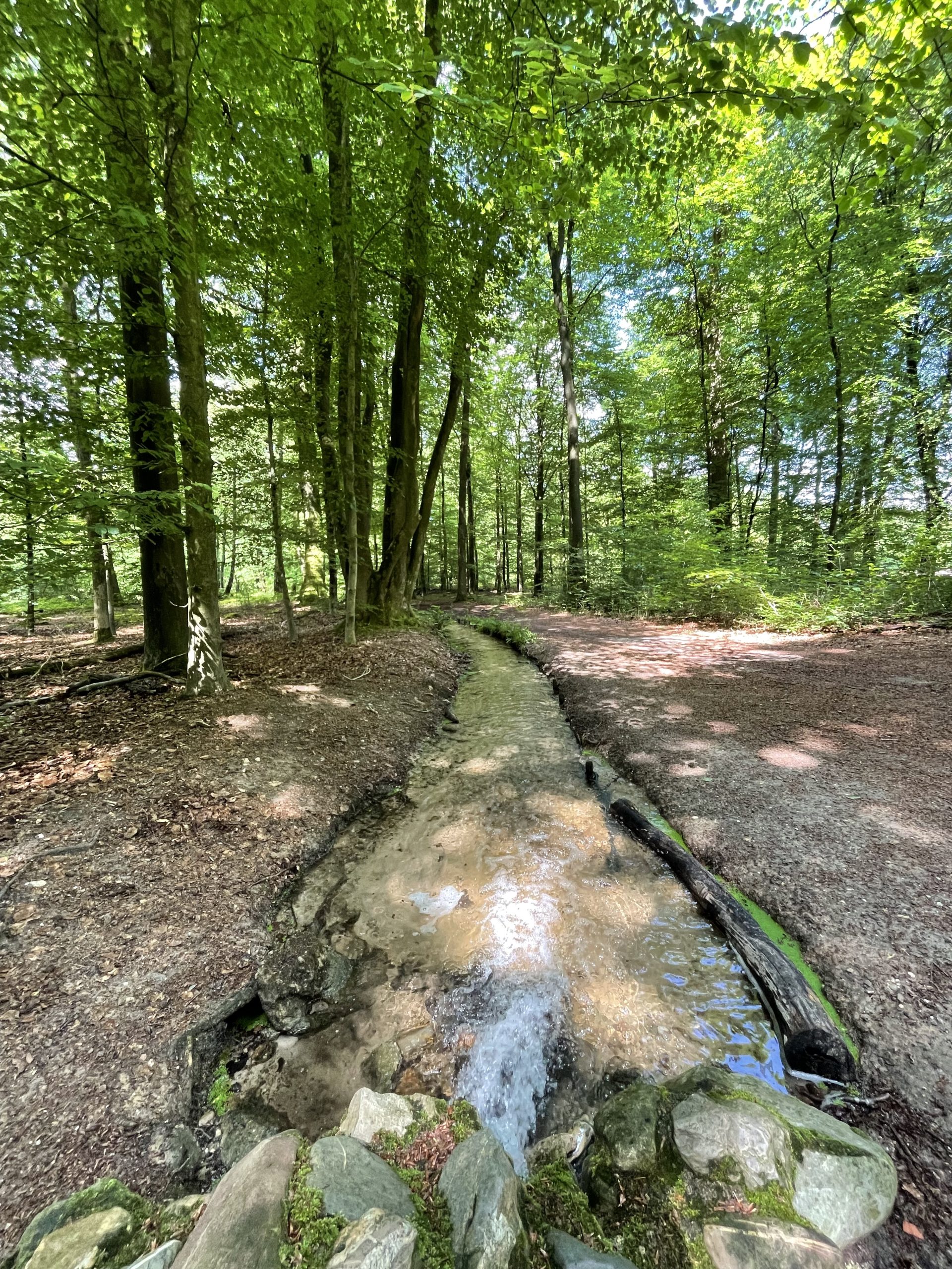 Energie beweging