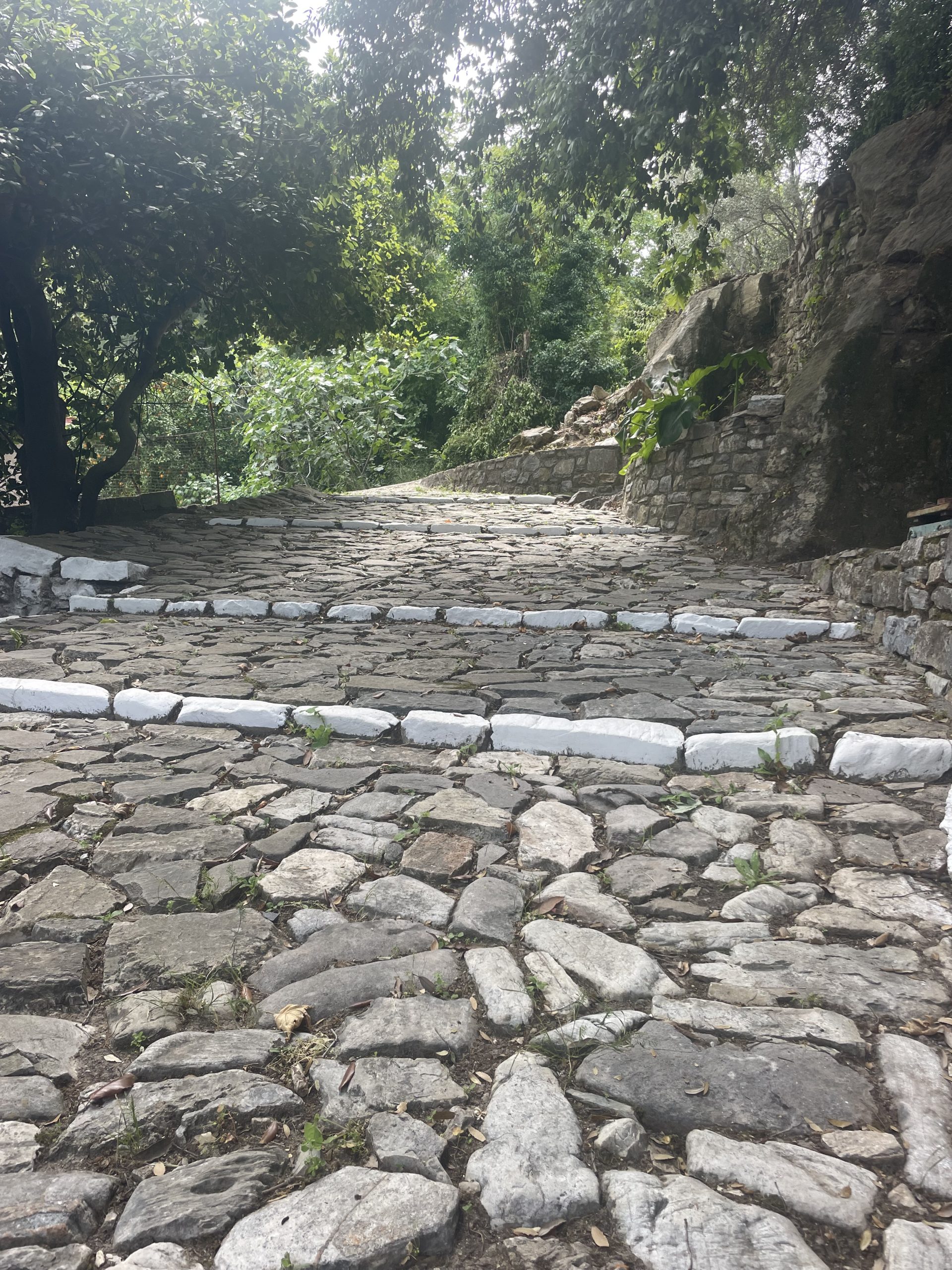 Walking step by step