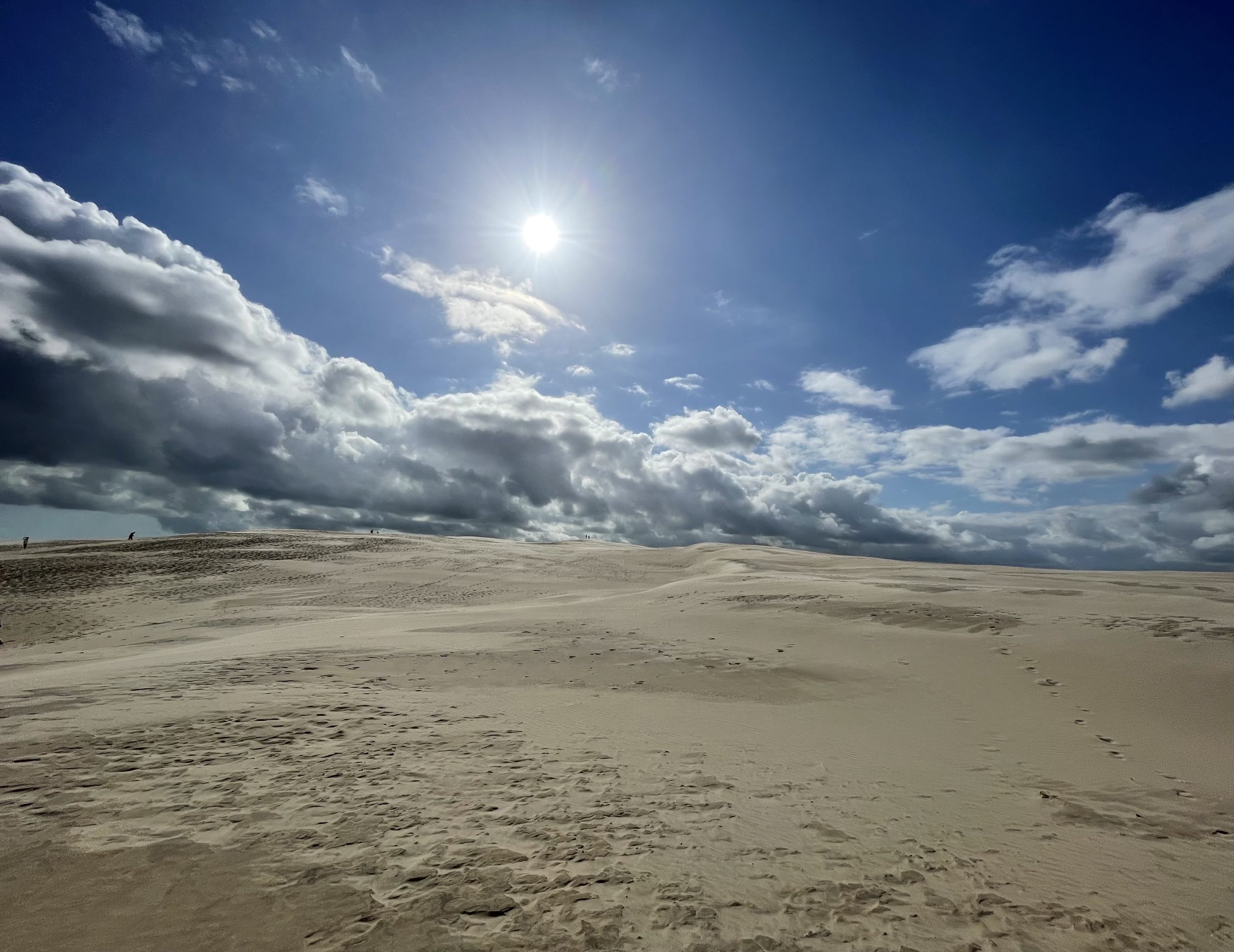 Alles in het Licht